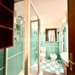 3-room flat via Provinciale Vicarese, Vicopisano