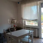 Rent 3 bedroom apartment of 80 m² in Busto Arsizio