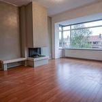 Rent a room of 184 m² in Den Haag