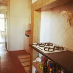 Rent 1 bedroom apartment in Lisbon