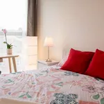 Rent 1 bedroom apartment in dublin