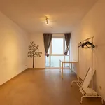 Rent 1 bedroom apartment in Gent