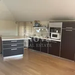 Ενοικίαση 5 υπνοδωμάτιο σπίτι από 430 m² σε Afidnes (Kiourka)