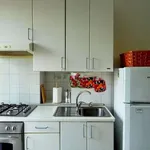 Rent 1 bedroom apartment in turin