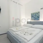 Rent 1 bedroom apartment of 25 m² in Grad Rijeka