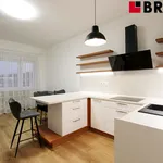 Rent 3 bedroom apartment of 76 m² in Brno