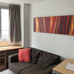 Rent 1 bedroom apartment in Auckland