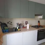 Rent 3 bedroom apartment of 70 m² in Bologna