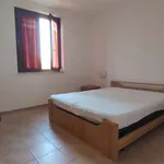 Rent 3 bedroom apartment of 60 m² in Ascea