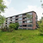 Huur 1 slaapkamer appartement van 75 m² in Bussum