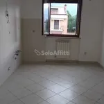 Rent 3 bedroom apartment of 80 m² in Terni