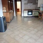 Rent 2 bedroom apartment of 63 m² in Colonna