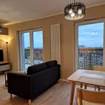 Rent 2 bedroom apartment of 40 m² in Łódź