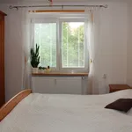 Rent 2 bedroom apartment in Teplice