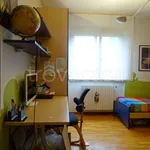 Rent 3 bedroom apartment of 120 m² in Segrate