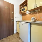 Rent 1 bedroom apartment of 20 m² in Brno