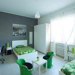 Rent a room in Bologna