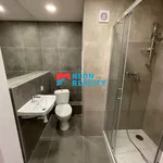 Rent 1 bedroom apartment of 39 m² in Orlová