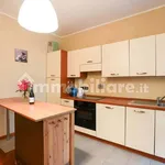 Rent 2 bedroom apartment of 55 m² in Turin