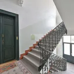 Rent 3 bedroom apartment of 100 m² in Prague