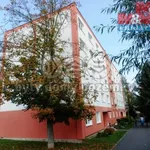 Rent 1 bedroom apartment in Františkovy Lázně