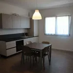 Rent 2 bedroom apartment of 50 m² in Venice