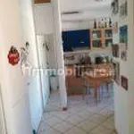 Rent 2 bedroom apartment of 55 m² in Prato