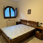 Rent 2 bedroom house of 70 m² in Castel di Sangro