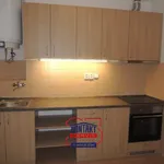 Rent 1 bedroom apartment of 45 m² in České Budějovice