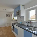 Pronajměte si pokoj o rozloze 113 m² v prague