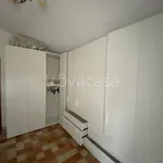 Rent 3 bedroom apartment of 60 m² in Pesaro