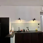 Rent 1 bedroom apartment of 20 m² in rome