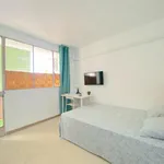 Rent 4 bedroom apartment in Seville