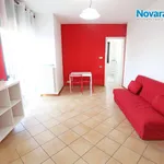 Rent 2 bedroom apartment of 36 m² in Novara