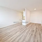 Rent 1 bedroom apartment of 43 m² in Brno