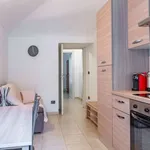 Rent 1 bedroom apartment of 55 m² in turin