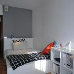 Rent 4 bedroom apartment in Padua