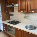 Rent 3 bedroom apartment of 65 m² in Nemi