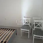 Rent 1 bedroom apartment of 45 m² in Grad Rijeka