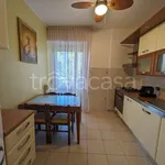 Rent 3 bedroom apartment of 105 m² in Cologno Monzese