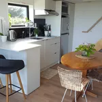 Rent 1 bedroom house of 1383 m² in Christchurch