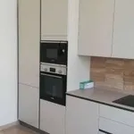 Rent 5 bedroom apartment of 216 m² in Milan