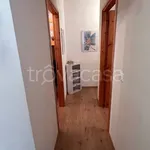 Rent 3 bedroom apartment of 100 m² in Ovindoli