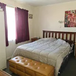 Rent 2 bedroom apartment in Bay of plenty