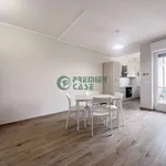 Rent 3 bedroom apartment of 85 m² in Turin