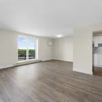 Rent 1 bedroom apartment in Chatham