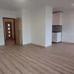 Pronájem prostorného bytu 3+1 a lodžií, 72 m2, Říčany u Prahy, ulice Čapkova