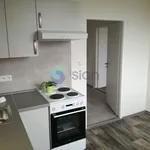 Rent 1 bedroom apartment of 35 m² in Ostrava