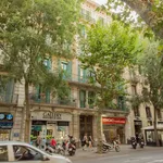 Rent 3 bedroom apartment in Barcelona