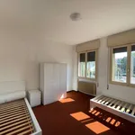 Rent 4 bedroom apartment of 110 m² in Padua